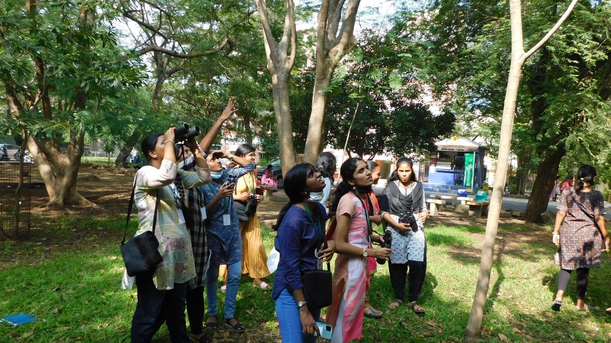 a-college-makes-it-to-the-number-2-position-on-ebird-checklist-leaders-list-for-chennai-in-2025