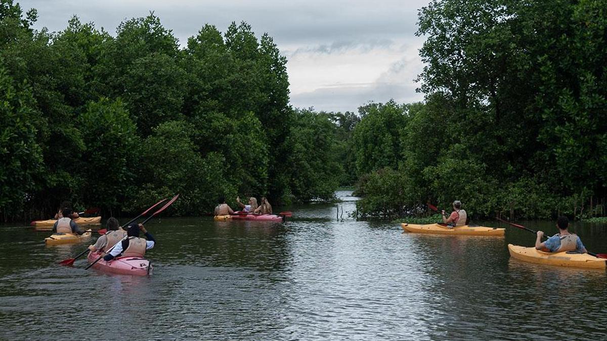 how-keralas-love-for-water-adventure-took-off-in-2025