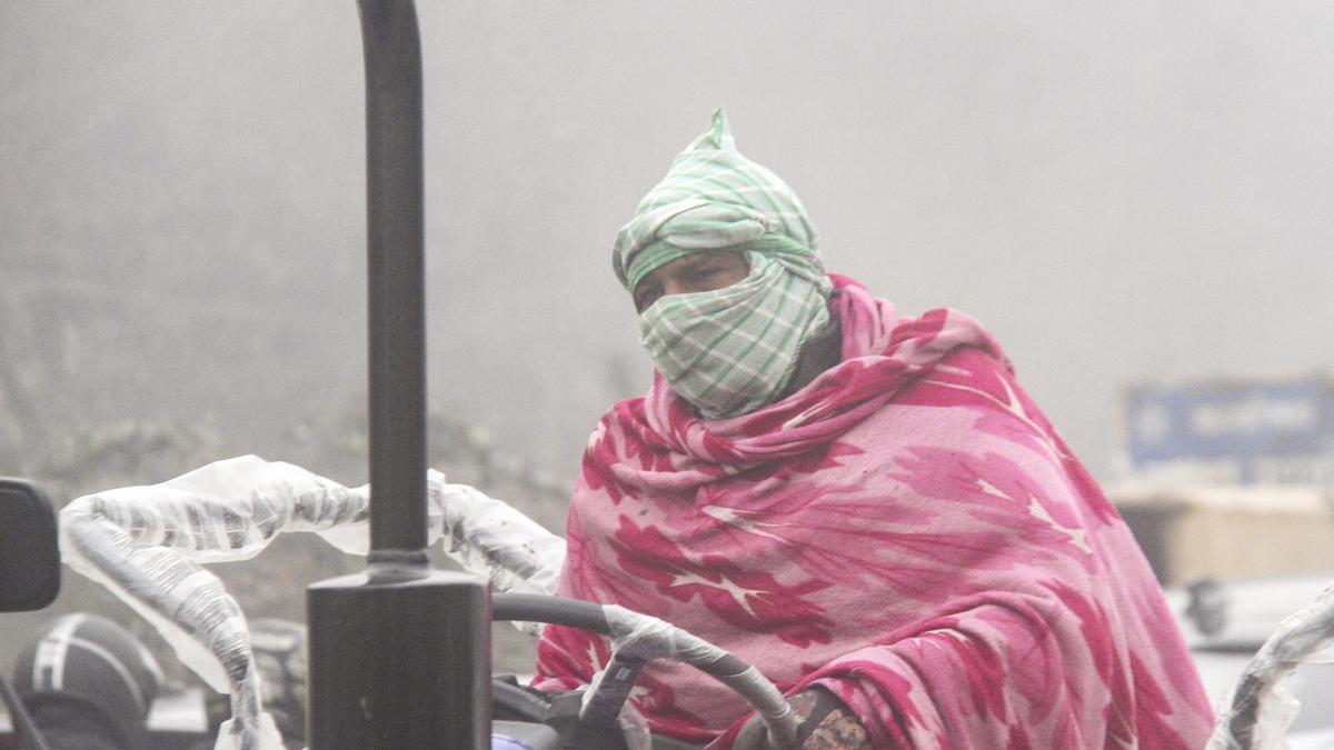 Near-zero temperatures freeze Rajasthan, Haryana; Gurugram sees frost with low of 0.6C