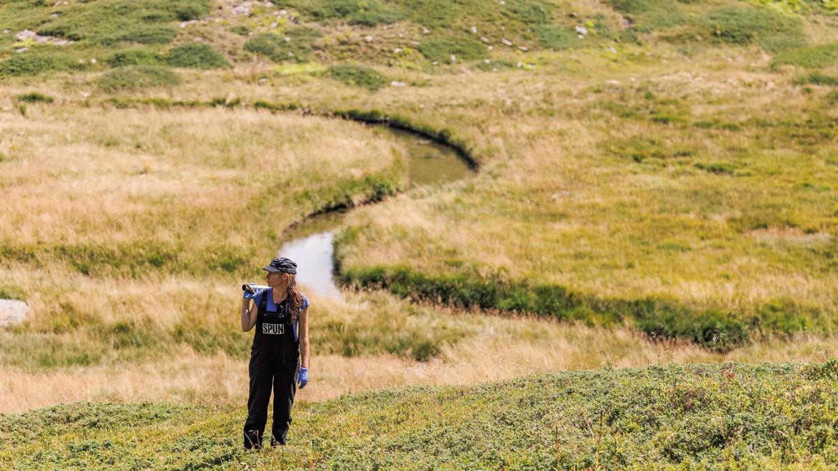 american-scientist-toby-kiers-wins-tyler-prize-for-shedding-light-on-hidden-fungal-networks