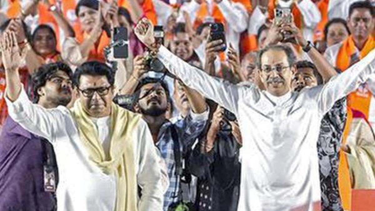 SEC allowed post-campaign canvassing at government’s behest: Raj Thackeray