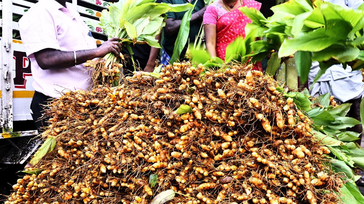 Markets abuzz with people buying essential goods for Pongal celebrations