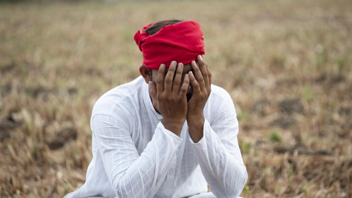 global-unemployment-remains-unchanged,-ilo-warns-about-decrease-in-jobs-for-youth,-women