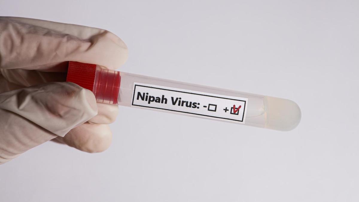 nipah-in-west-bengal:-tamil-nadu-govt.-asks-health-officers-to-strengthen-aes-surveillance