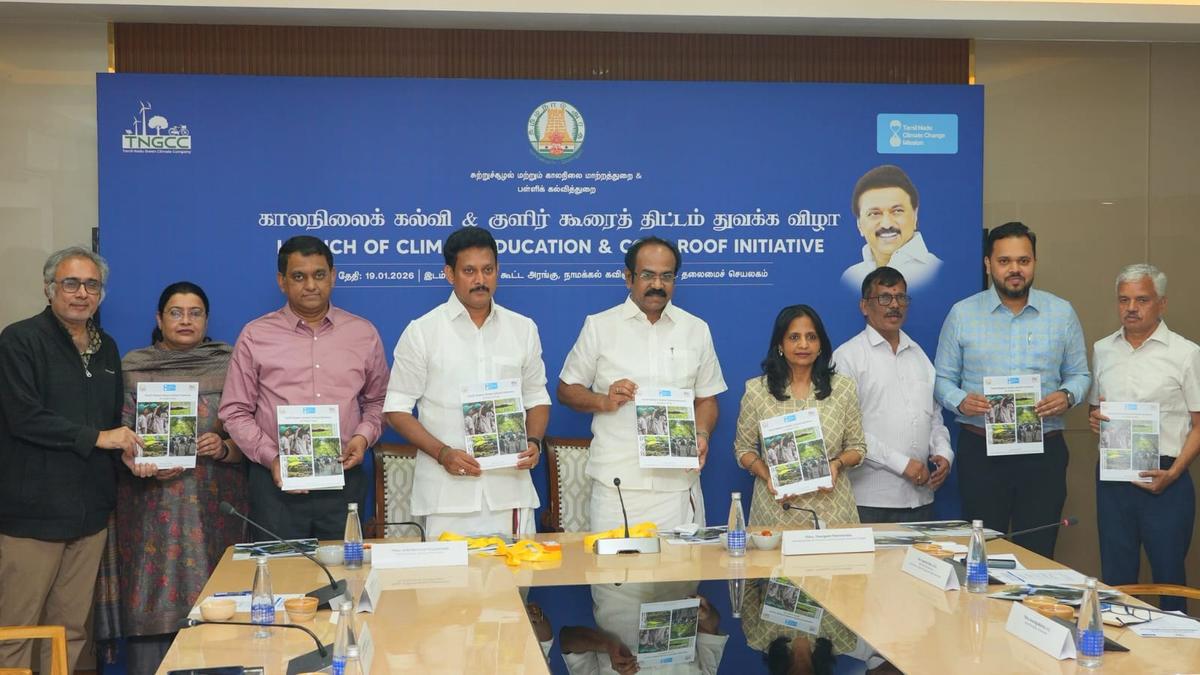 solar-energy-cuts-grid-power-consumption-by-about-46%-in-government-schools,-says-study