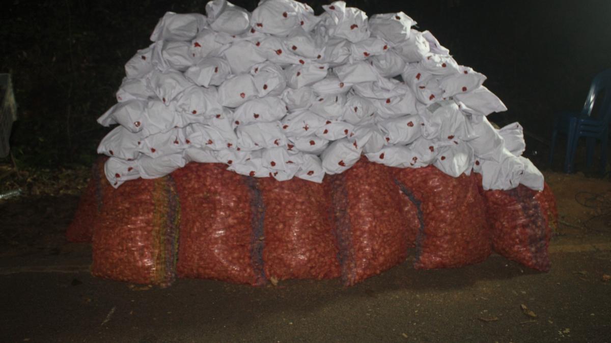 106-kg-of-cannabis-worth-53-lakh-seized-in-puttur-in-coastal-karnataka,-two-arrested