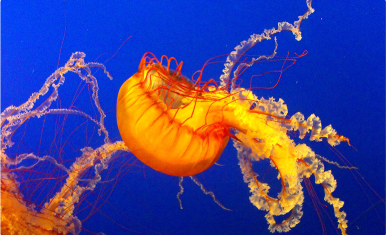 Good Design Can A Beautiful Raw Interface