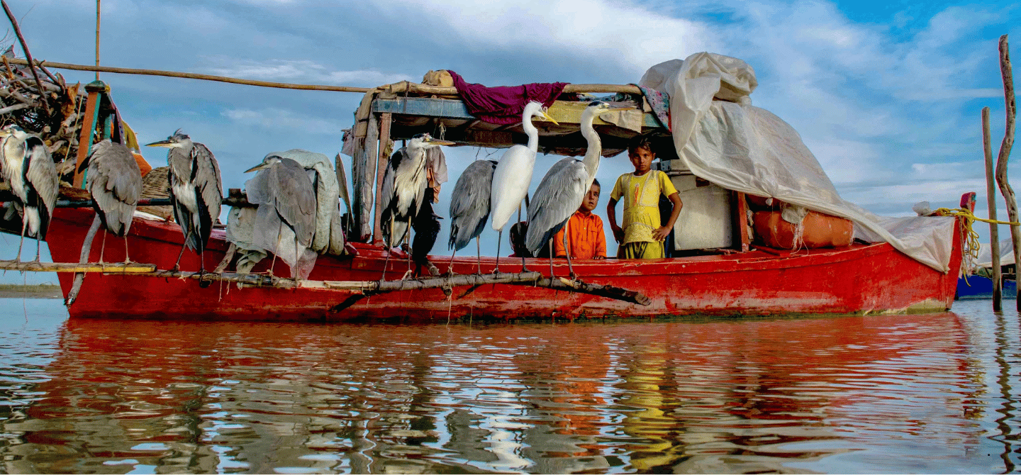 Indus Water Treaty Status Unchanged, India Focuses on Counter-Terrorism