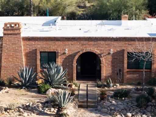 running-out-of-options:-expert-raises-concerns-about-nancy-guthrie-probe-as-fbi-uses-fresh-tech-to-crack-case