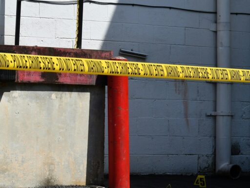 sacramento-mass-shooting:-multiple-people-shot-near-home-depot-parking-lot-at-howe-park