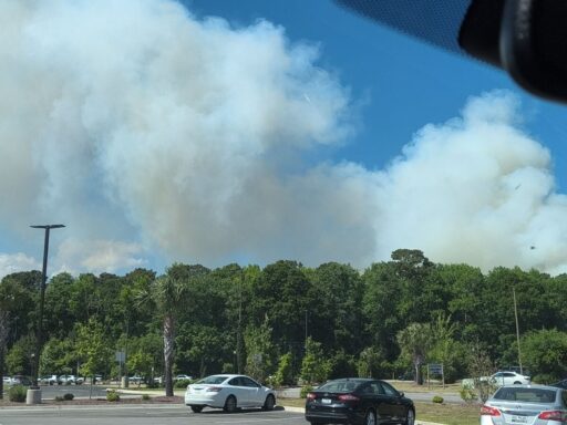 carolina-forest-fire:-blaze-reported-near-redwolf-trail-in-south-carolina;-scary-visuals-emerge