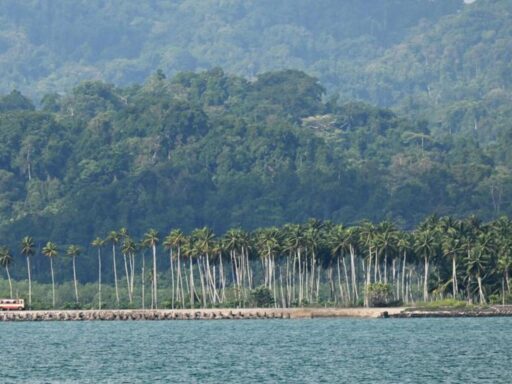 rahul-gandhi-likely-to-visit-great-nicobar-this-weekend