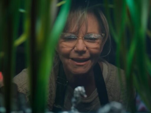 remarkably-bright-creatures-movie-review:-magnificent-sally-field-provides-ballast-to-the-tale-of-love-and-loss