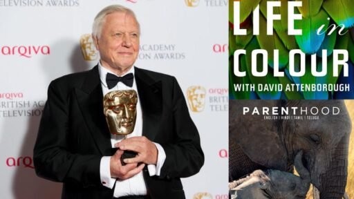 warner-bros.-discovery-celebrates-sir-david-attenboroughs-100th-birthday-with-special-programming