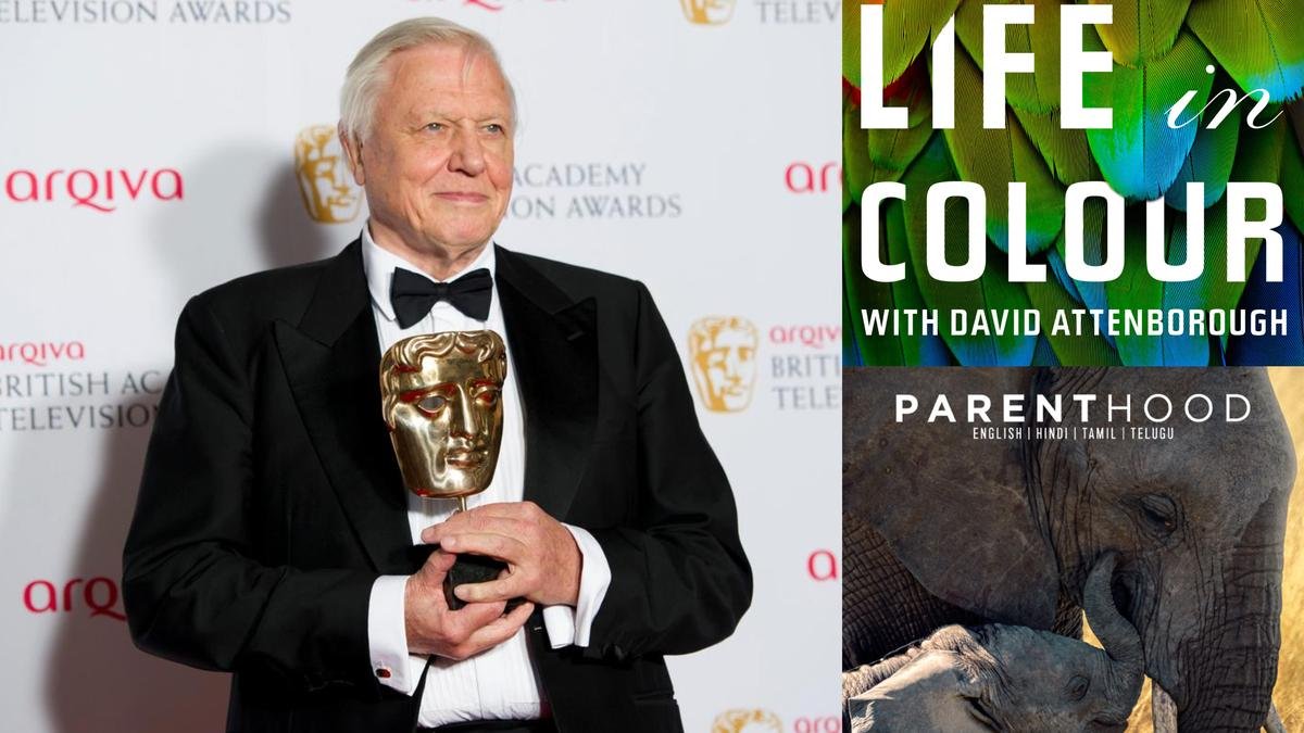 warner-bros.-discovery-celebrates-sir-david-attenboroughs-100th-birthday-with-special-programming