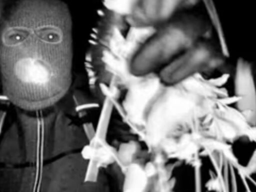 is-nancy-guthrie-suspect-a-woman?-feminine-features-and-second-mask-theories-emerge-amid-search-for-missing-woman