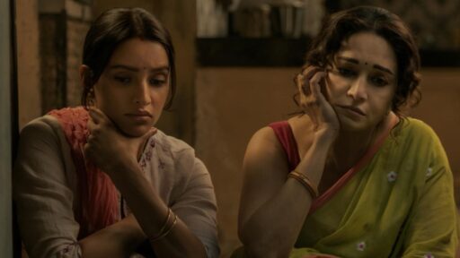 maa-behen:-madhuri-dixit-and-triptii-dimris-comedy-drama-gets-release-date