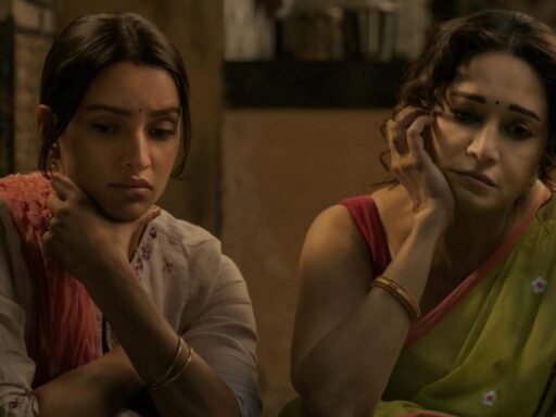 maa-behen:-madhuri-dixit-and-triptii-dimris-comedy-drama-gets-release-date