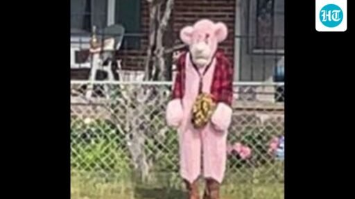 what-is-he-going-to-do?:-creepy-figure-in-bizarre-pink-costume-chasing-kids-sparks-panic-in-virginia