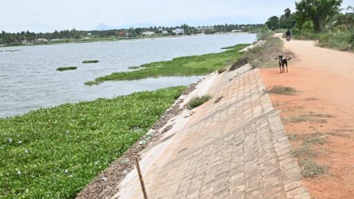 back-to-back-murders-near-deserted-tanks-in-coimbatore-district-raise-safety-concerns
