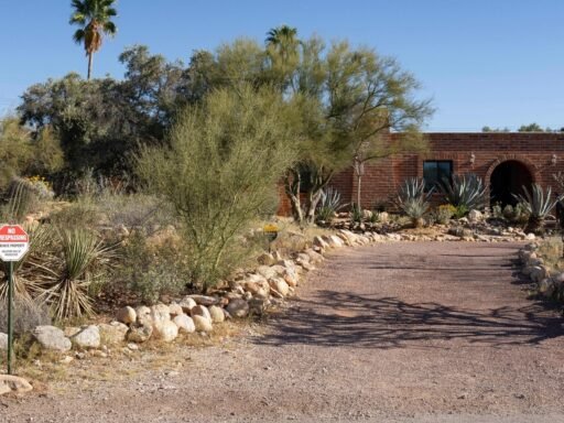 nancy-guthrie-update:-expert-makes-big-revelation-about-human-bones-discovery-in-tucson