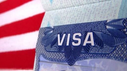 h-1b-abuse-preventing-emergence-next-elon-musk:-expert-urges-reforms-to-attract-global-talent-amid-visa-crackdown