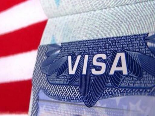 h-1b-abuse-preventing-emergence-next-elon-musk:-expert-urges-reforms-to-attract-global-talent-amid-visa-crackdown