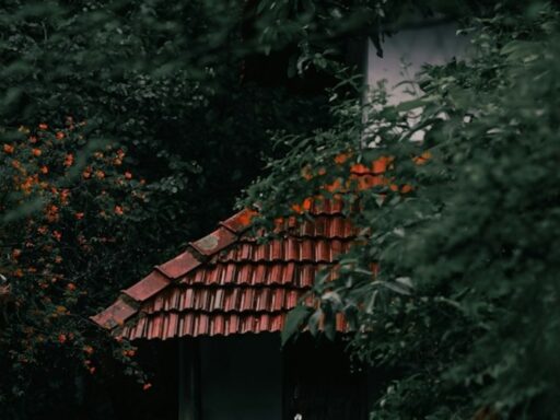 kerala-house-raided-over-allegations-of-fake-treatment,-black-magic-in-name-of-religion