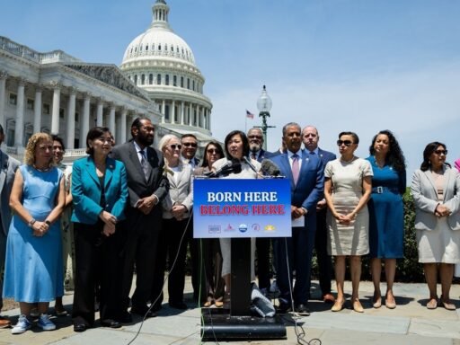 despite-supreme-court-ruling-on-birthright-citizenship,-trump-admin-moves-to-tackle-rise-of-‘birth-tourism’