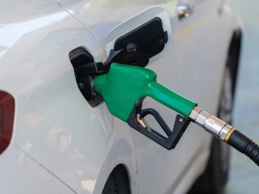 petroleum-minister-puri-says-no-issues-with-e20,-no-rush-for-e25